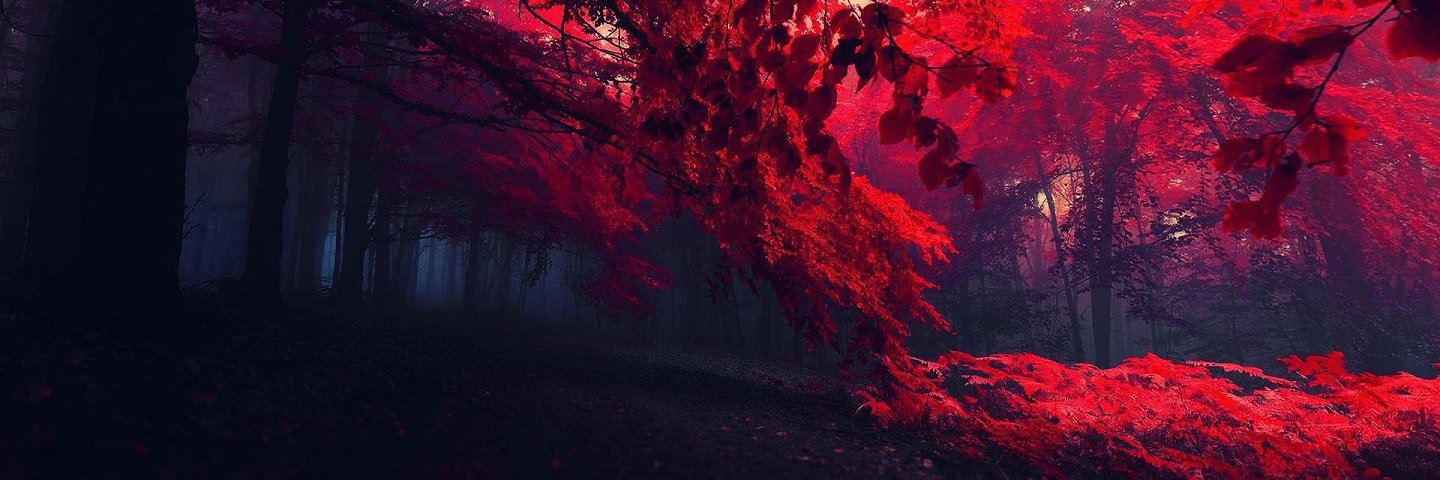 Zeryseth's profile banner image