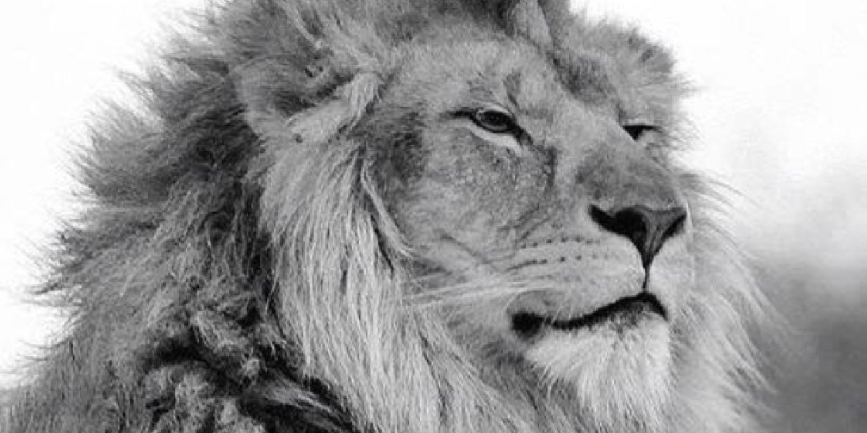 C_JAVIER87's profile banner image