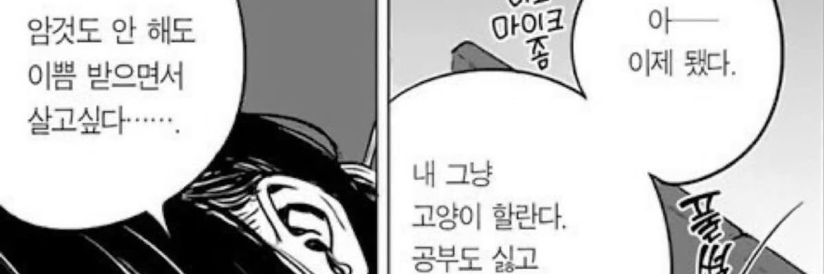 ro_0lo's profile banner image