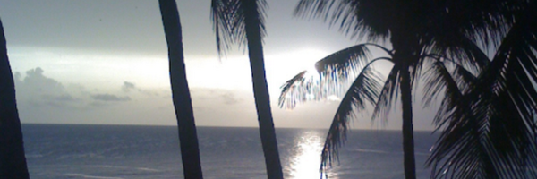dolanc Profile Banner