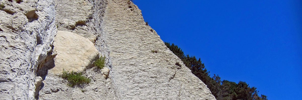 UntilWeFixThis banner