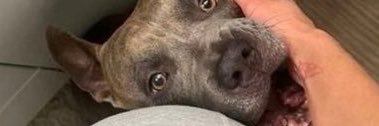 Maxknotty's profile banner image