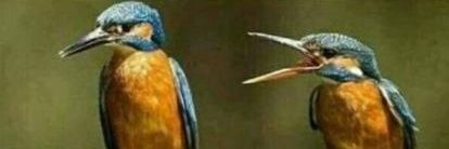 BasNadorp's profile banner image