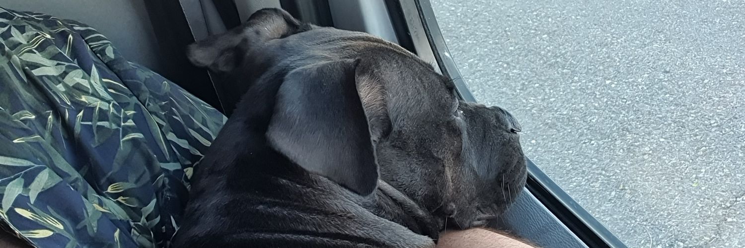 Raúl Quintana (Willard1985) banner