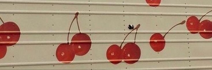 fvckngCHERRY's profile banner image