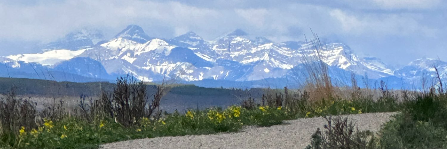 WildRoseBrenda's profile banner image