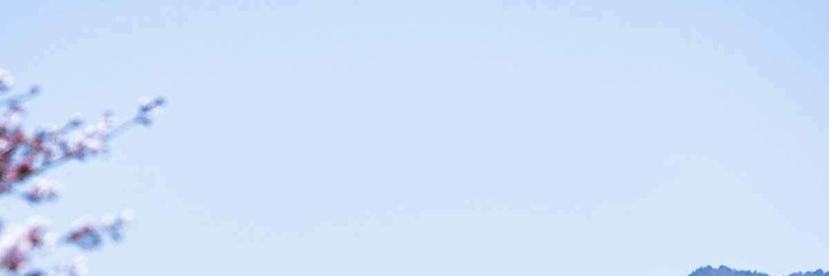 seckli's profile banner image