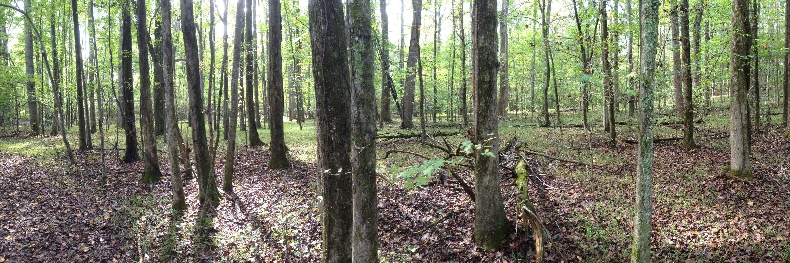 eric_hiker's profile banner image