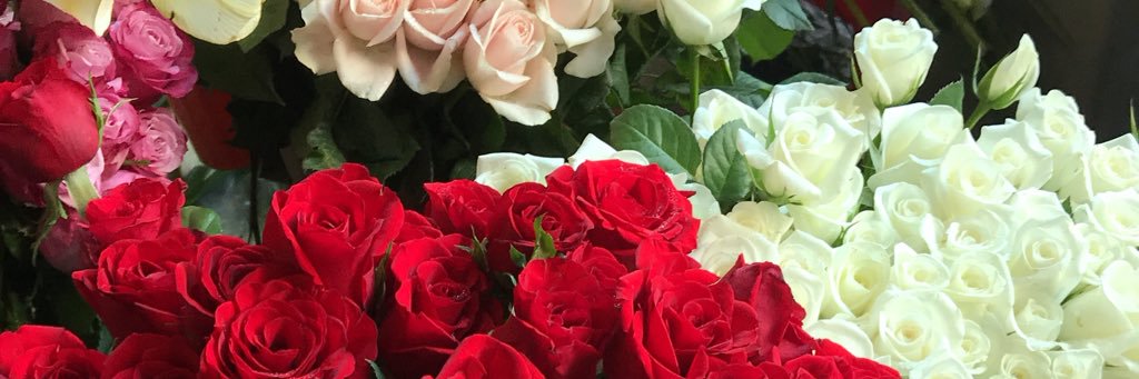 nurainins_'s profile banner image