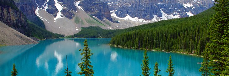 Jay Chowdhury banner