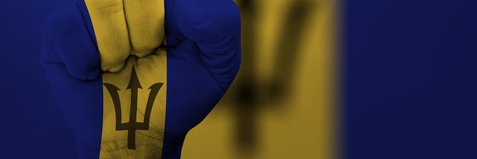 Natasha M. Hall banner