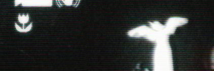 xiaowze's profile banner image
