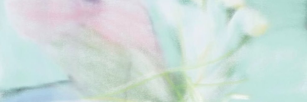 filigreetrium's profile banner image