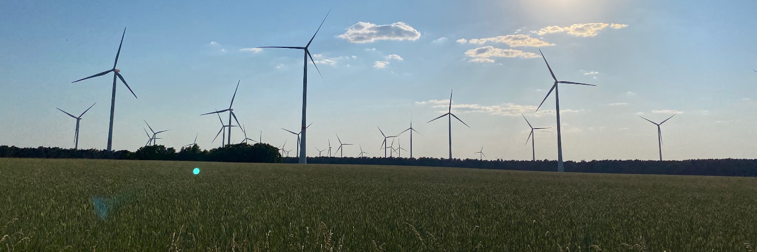 Dr Elizabeth Chapman banner