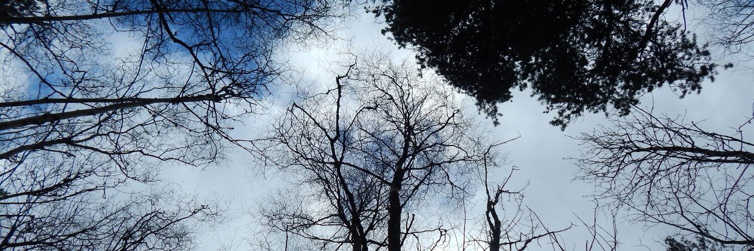 Jᴀᴍᴇs Hᴏwᴀʀᴅ banner