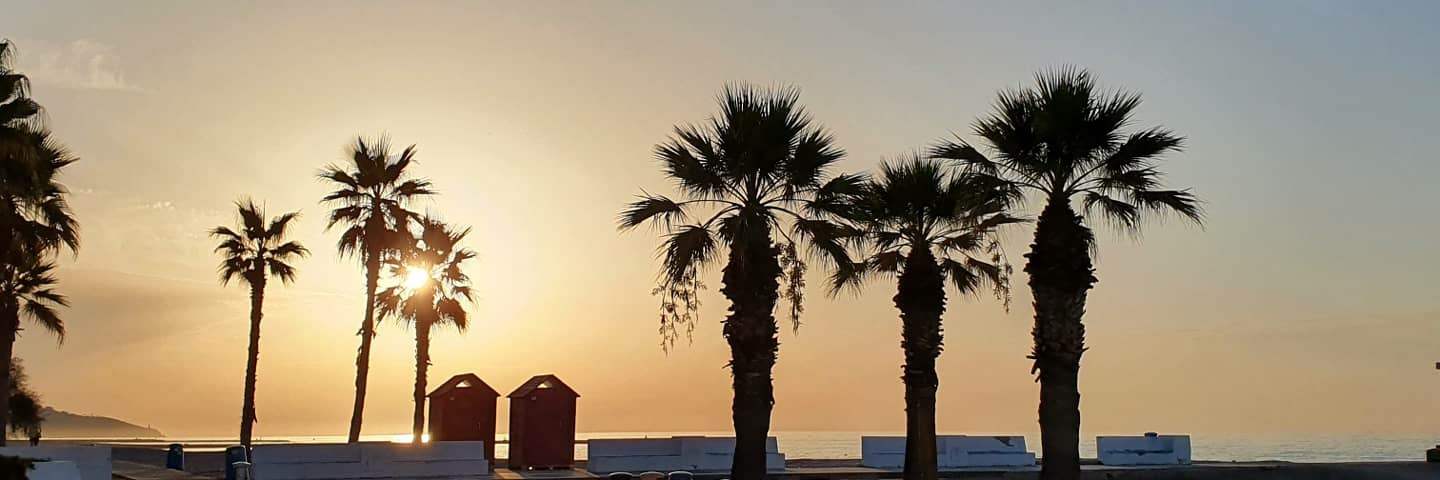 CSerranoBrocas's profile banner image
