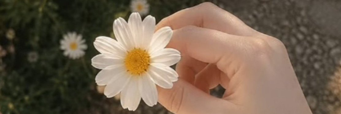 Asiaexri's profile banner image
