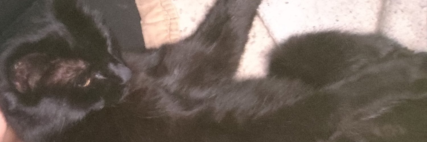 maximuslenvxwr's profile banner image