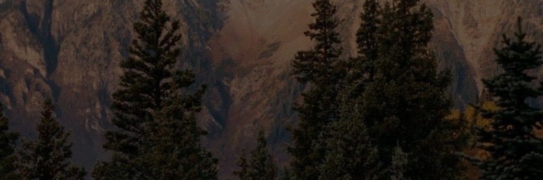 primanandaa's profile banner image