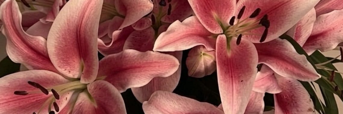 ronikpmi's profile banner image