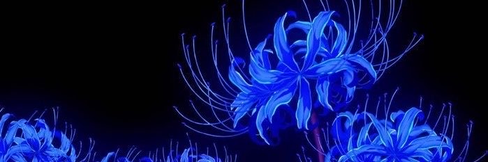 kur0sakis's profile banner image