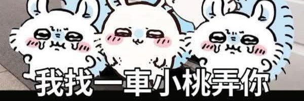 2007xluo's profile banner image