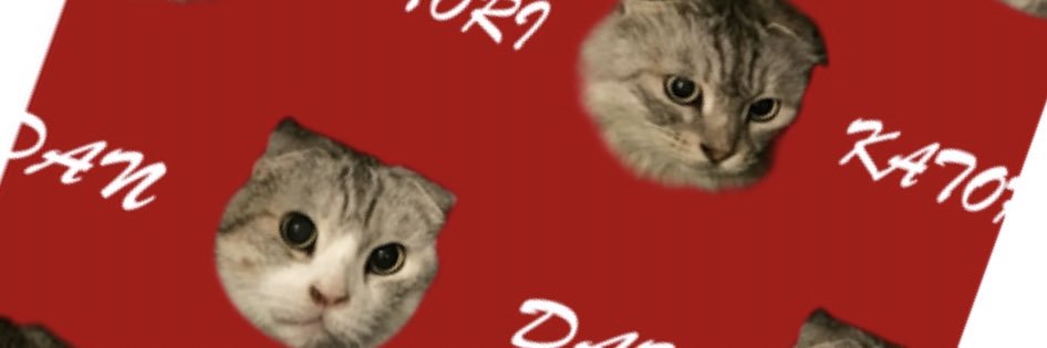 stsachiko's profile banner image
