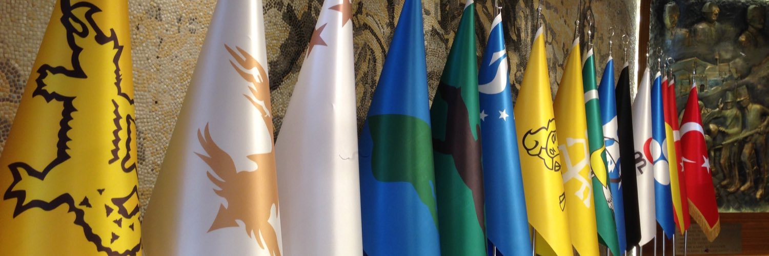 brunoalbero's profile banner image