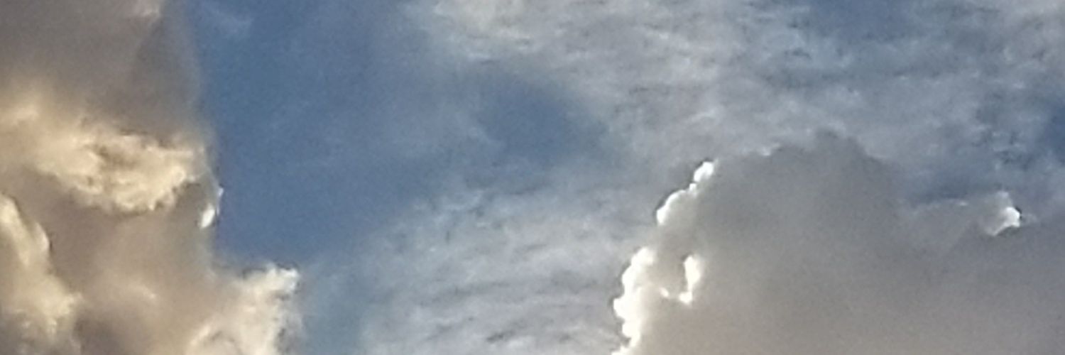 Meeterra's profile banner image