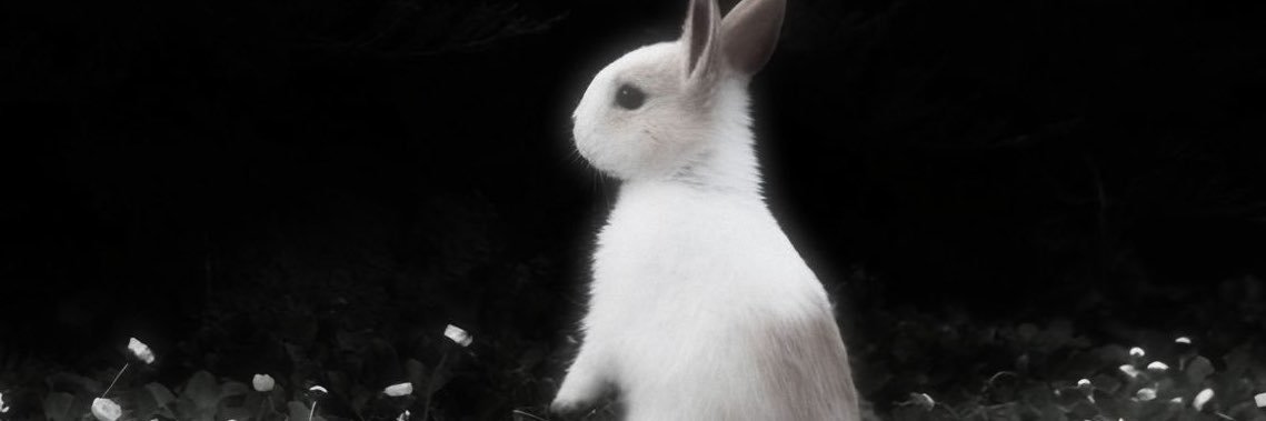 mxttbunny's profile banner image