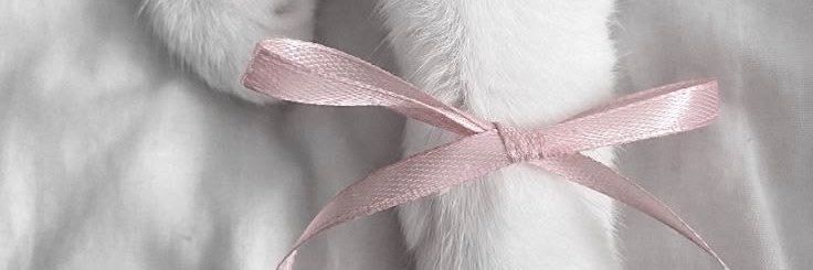 yu___ma___nya's profile banner image