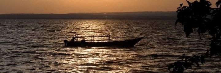 WanjalaLucas's profile banner image
