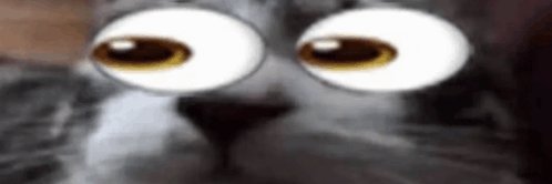 Sighchedellics's profile banner image