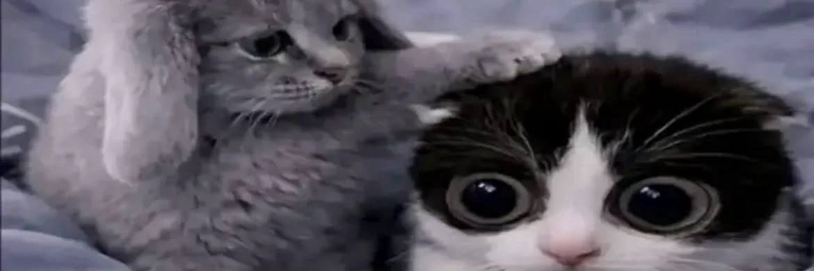 h0st1kk's profile banner image