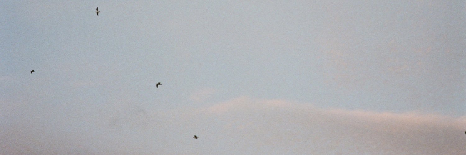 Andy Williamson banner