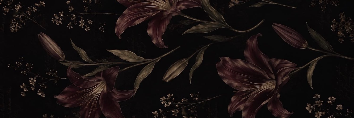 Maevelx4a's profile banner image