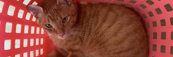 ARIAS_ggwp Profile Banner