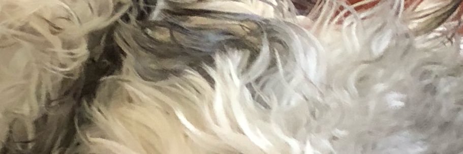 wrlysse's profile banner image