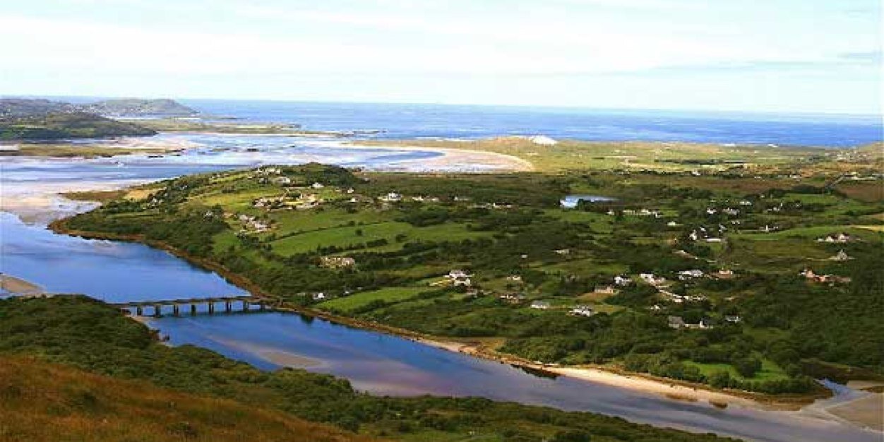 Patrick Melly banner