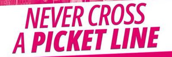 beardygull Profile Banner