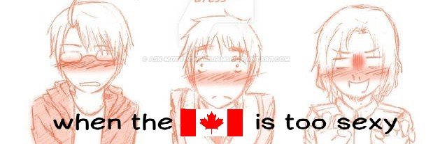 canadaforcefem's profile banner image
