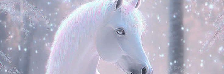 ulibamp's profile banner image