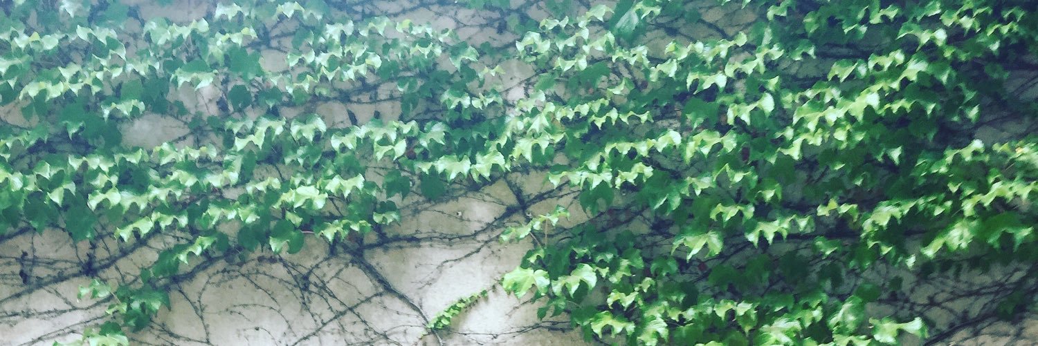 irinajj's profile banner image