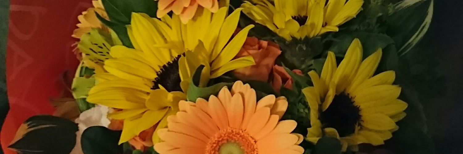 ぱんだ banner