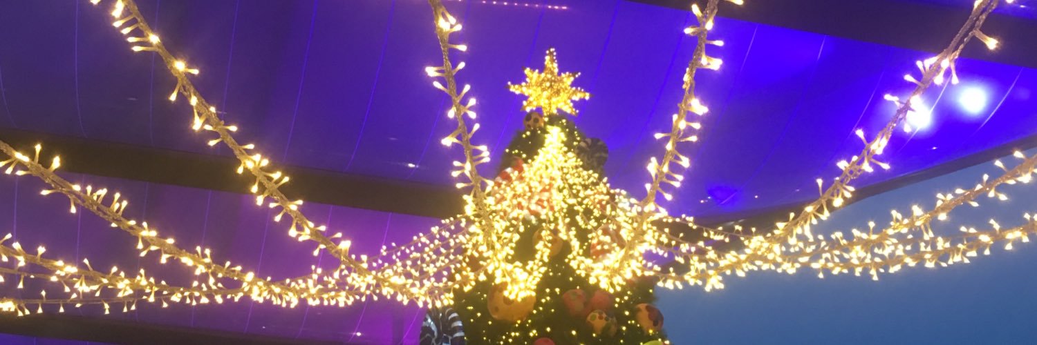TINYVIVIMEPEW's profile banner image