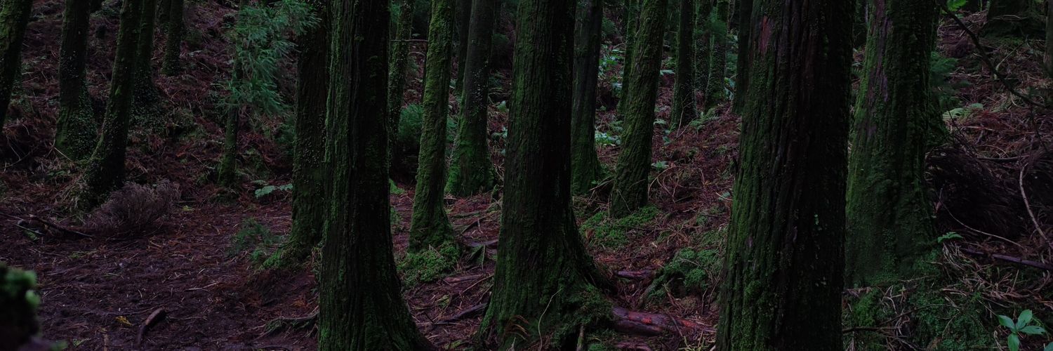 ricardojds's profile banner image