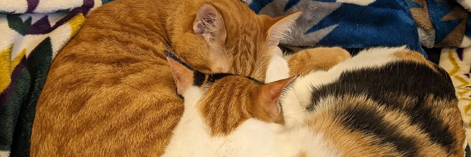 chimzoooo's profile banner image