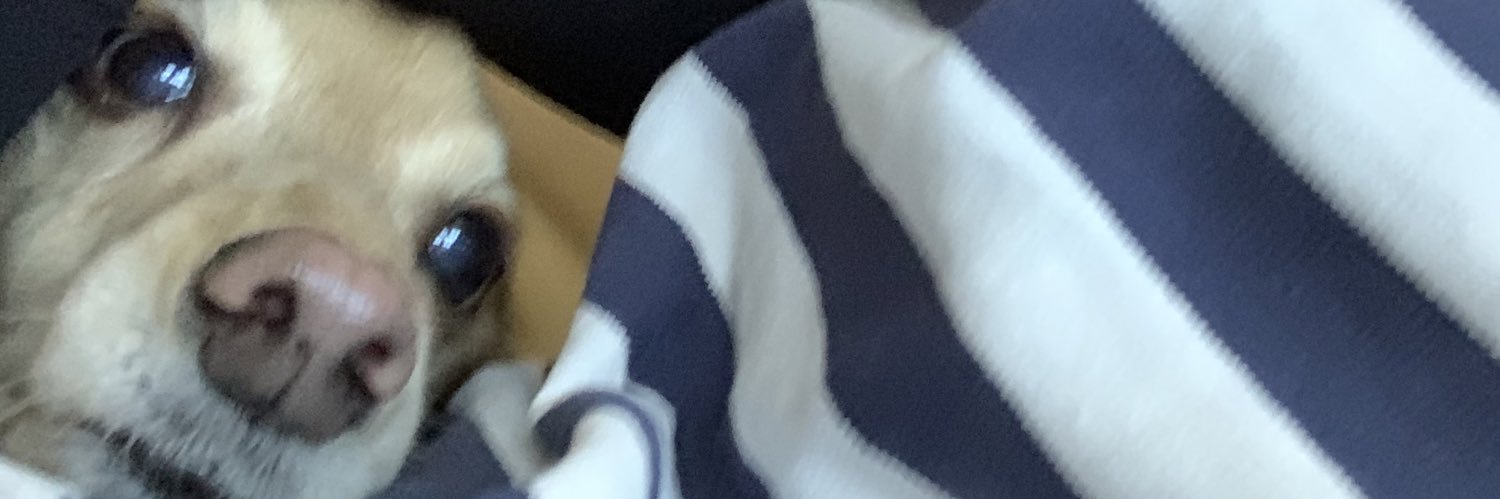 saryry's profile banner image