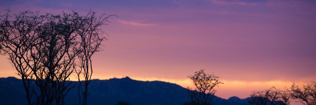 Sinnyn's profile banner image