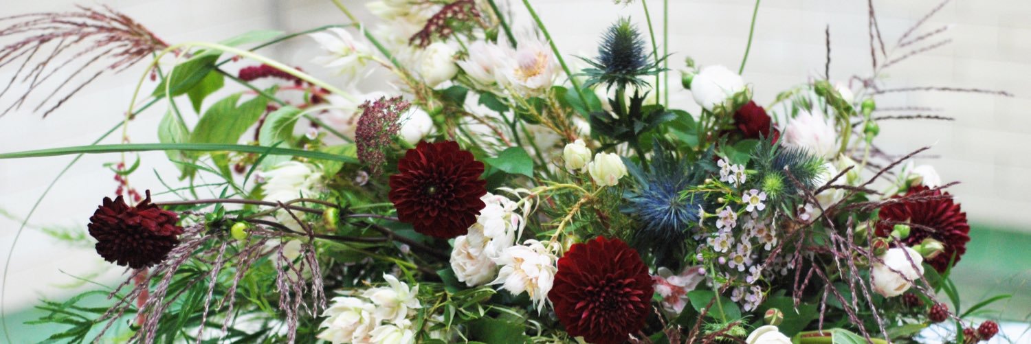 Joanne Fletcher 🏳️‍🌈🌱 banner